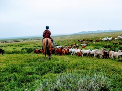 Mongolian children going