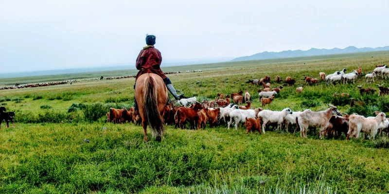 Mongolian children going